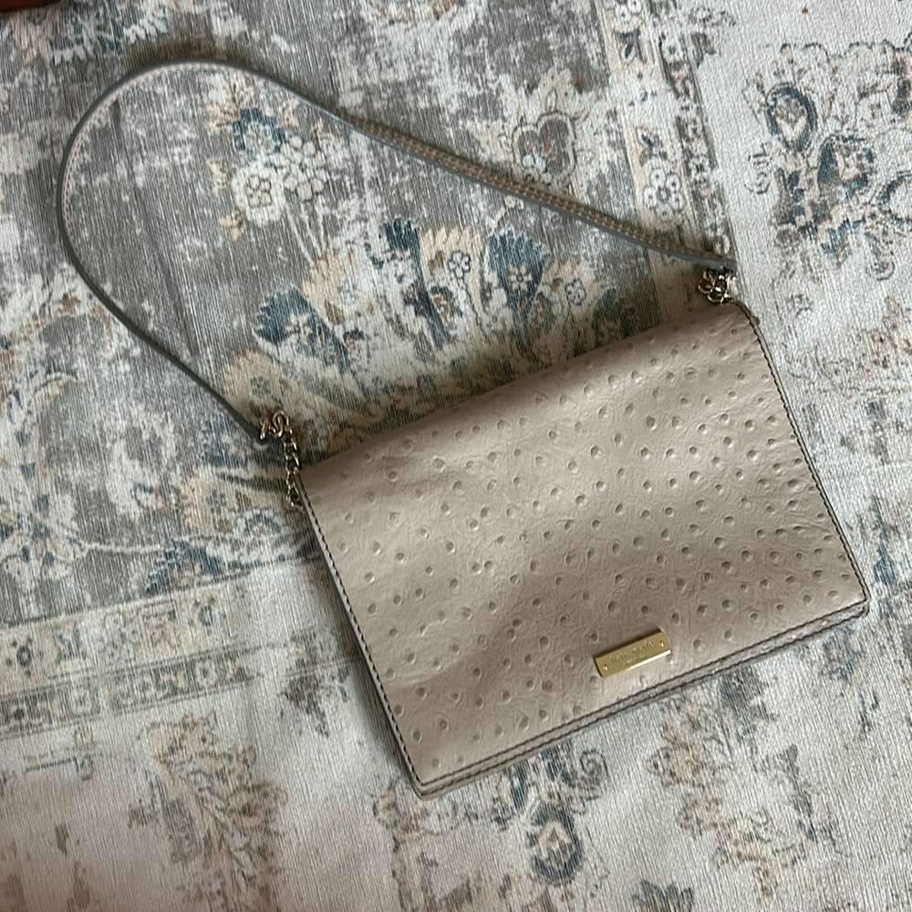 Kate Spade clutch/shoulder bag